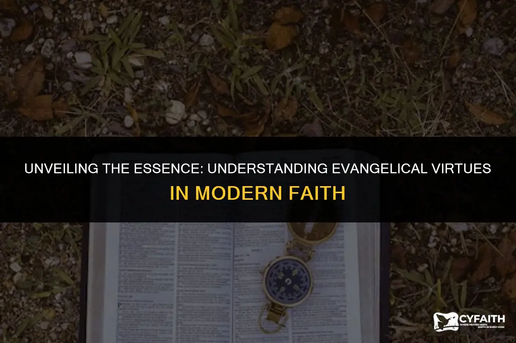 why are they called evangelical virtues