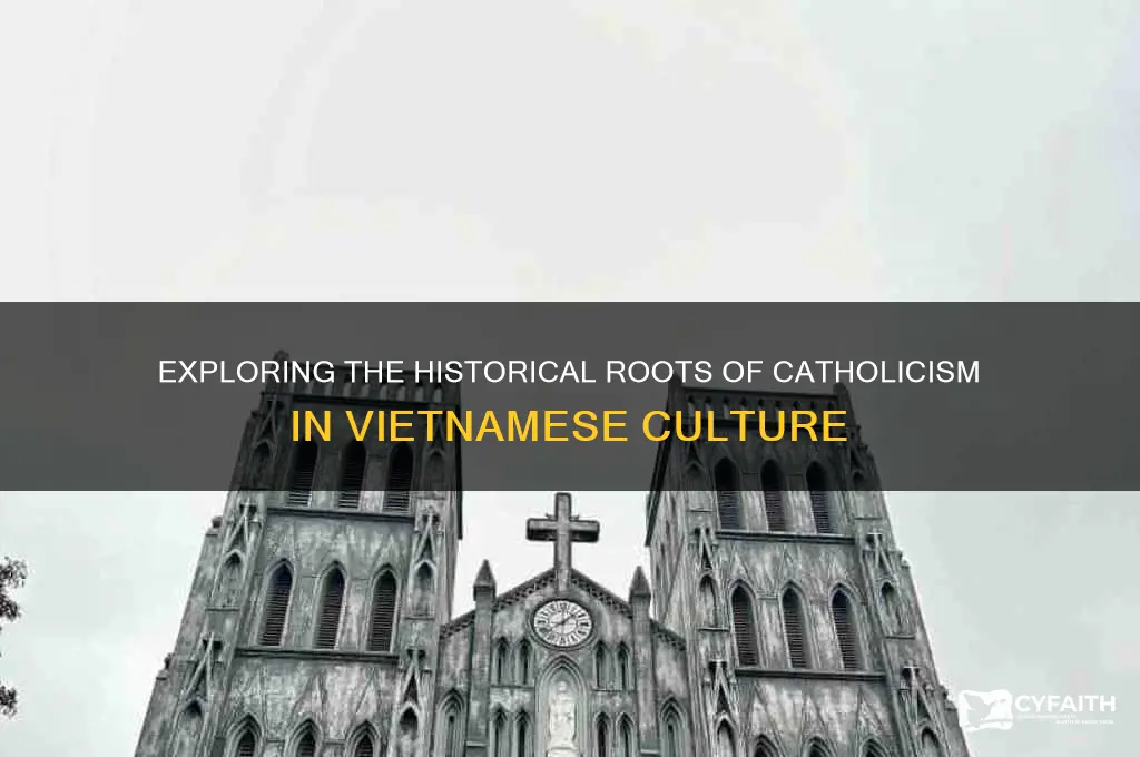 why are vietnamese all catholics