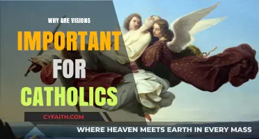 Why Visions Matter: Catholics' Spiritual Guidance and Faith Strengthening