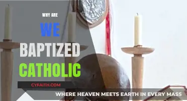Understanding the Sacred Rite: Why Are We Baptized Catholic?