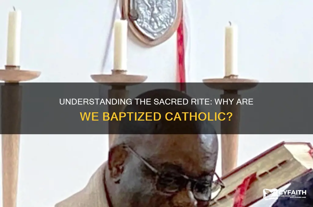why are we baptized catholic