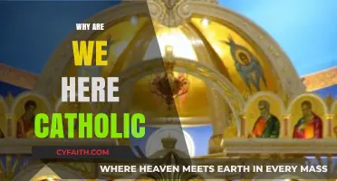 Why Are We Here? Exploring Catholic Purpose and Faith