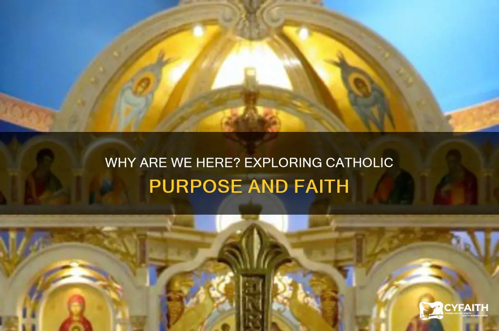 why are we here catholic