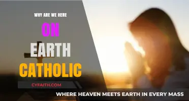 Catholic Perspective: Our Purpose and Meaning on Earth Explored