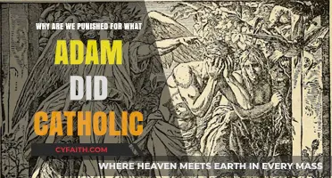 Original Sin's Burden: Understanding Catholic Teachings on Adam's Legacy