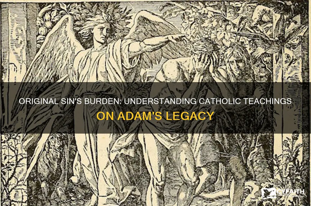why are we punished for what adam did catholic