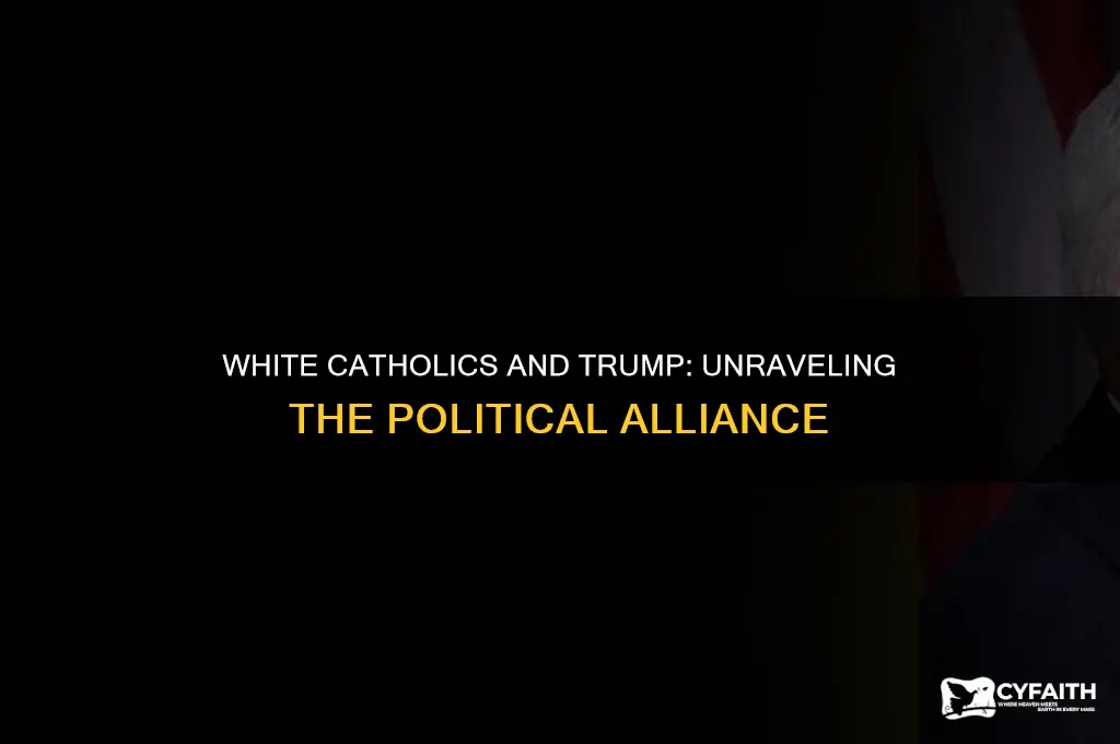 why are white catholics supporting trump