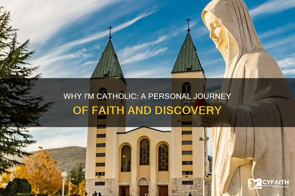 why are you catholic story