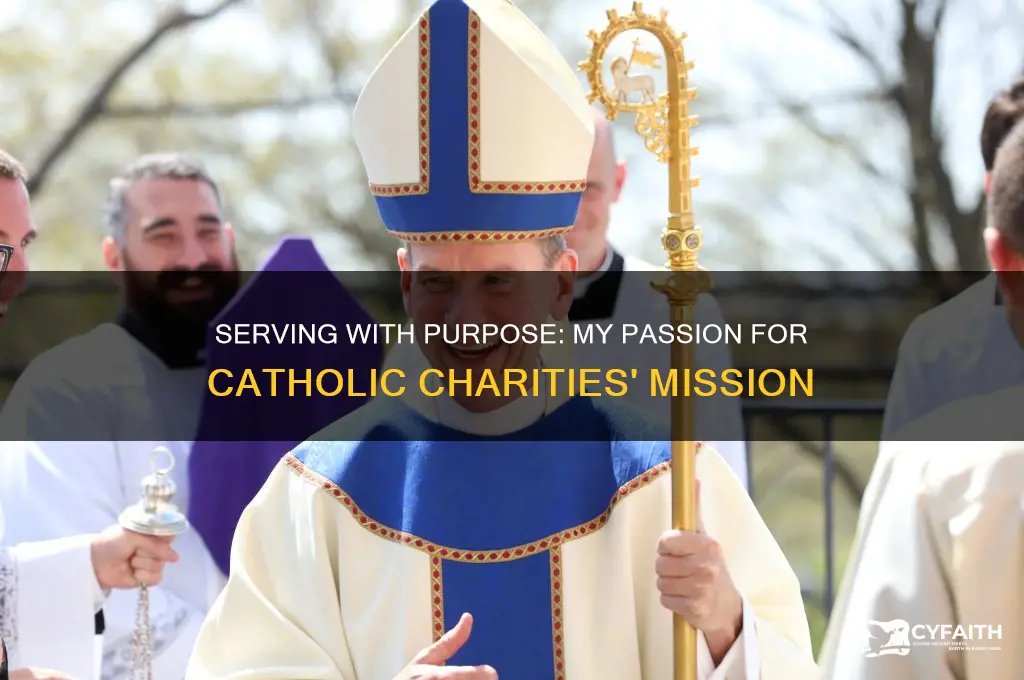 why are you interested in working at catholic charities