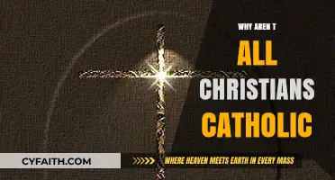 Why Aren't All Christians Catholic? Exploring Historical and Theological Divides