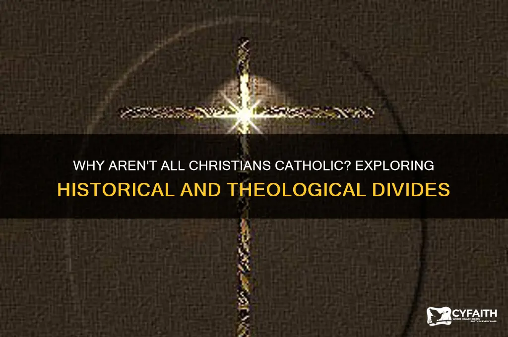why aren t all christians catholic