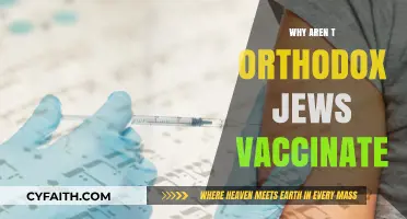 Orthodox Jews and Vaccination: Exploring Hesitancy and Community Perspectives