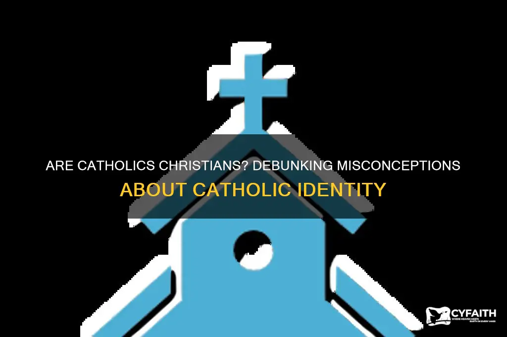 why arent cathollics called christians