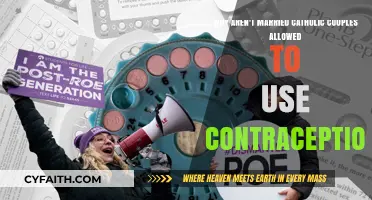 Contraception and Catholic Marriage: Understanding the Church's Stance