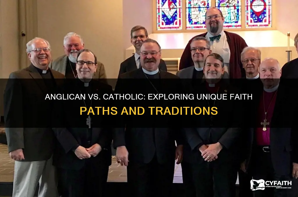 why be anglican and not catholic
