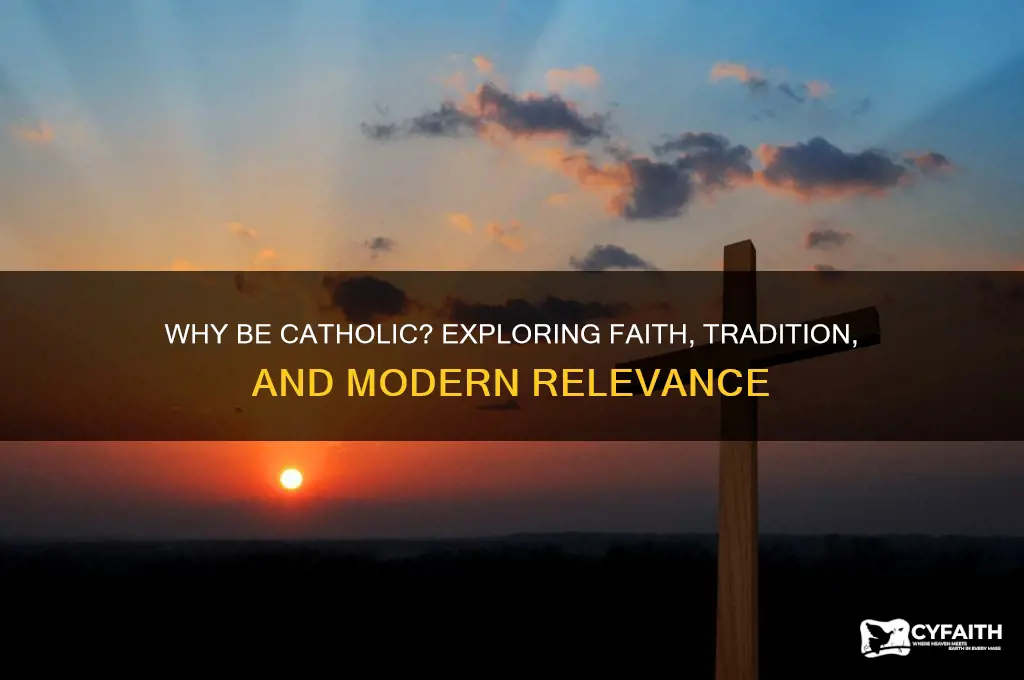 why be catholic book