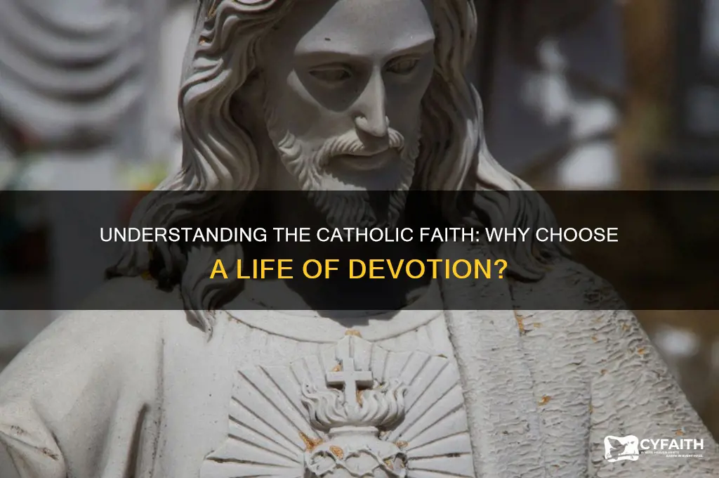 why be catholic underst
