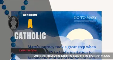 Discovering Faith: Why Becoming Catholic Transforms Lives and Hearts