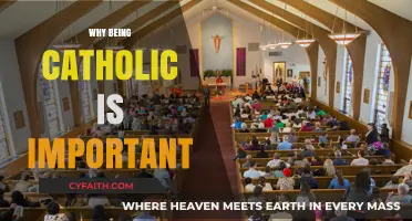 Why Being Catholic Shapes Faith, Community, and Purpose in Life