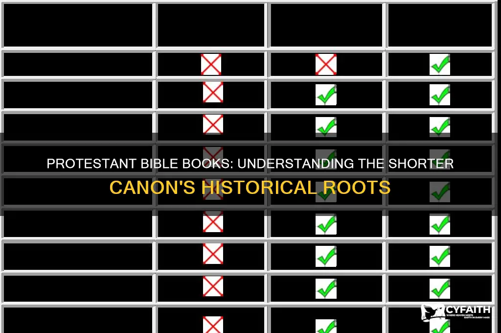 why bibble books are less for protestant
