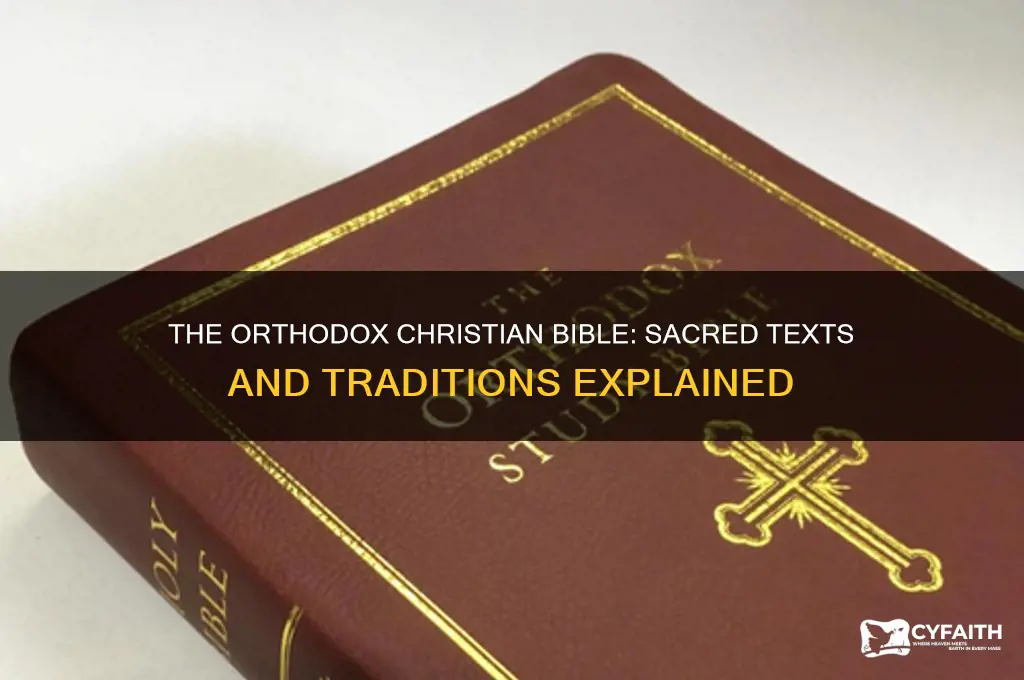 why bible do orthodox christians read
