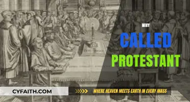 Why Protestant? Uncovering the Origins of a Religious Movement