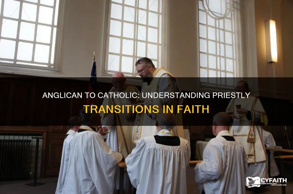 why can anglican priests become catholic priests