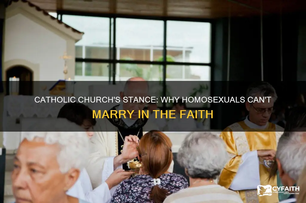 why cant homosexuals get married catholic