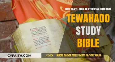 Where to Find an Ethiopian Orthodox Tewahedo Study Bible?