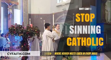 Struggling with Sin: A Catholic's Guide to Overcoming Temptation