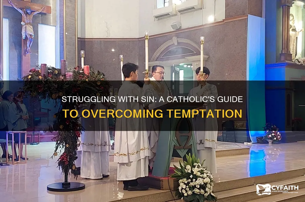 why cant i stop sinning catholic