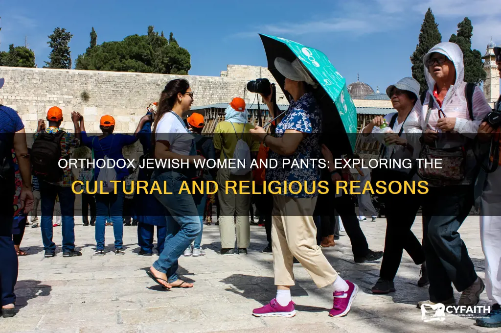 why cant orthodox jewish women wear pants