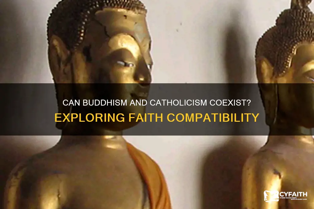 why cant you be buddhist and catholic