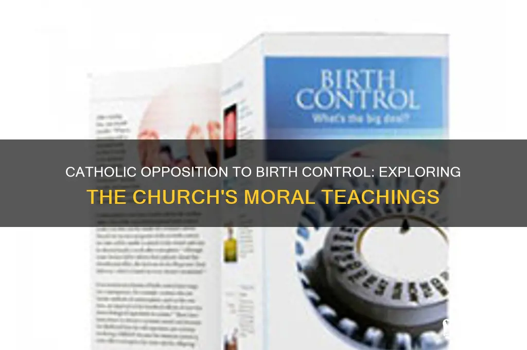 why catholic against birth control