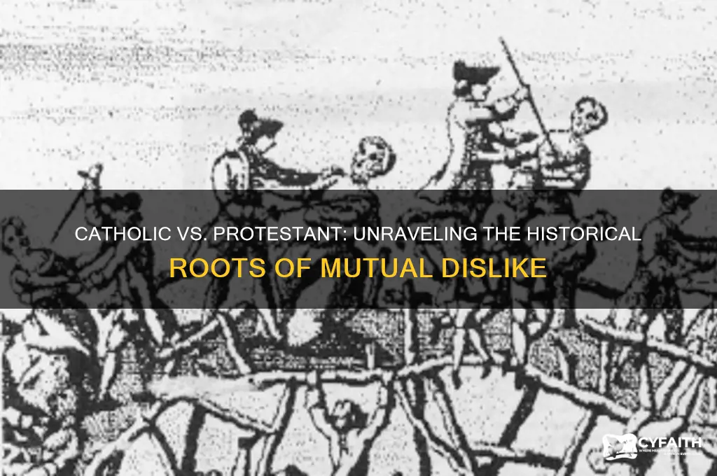 why catholic and protestant hate each other