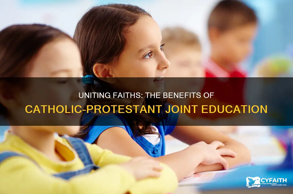 why catholic and protestant should learn in school together
