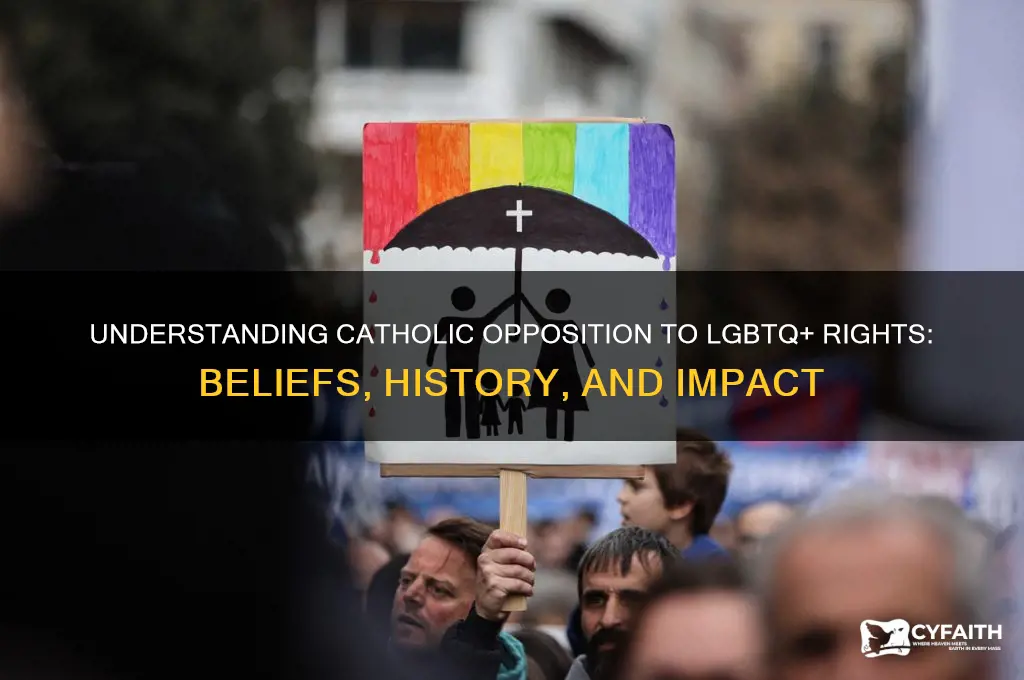 why catholic are against lgbt