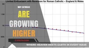 The Rising Catholic Population: Factors Driving Global Growth and Renewal