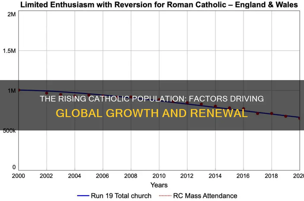 why catholic are growing higher