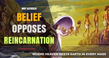 Catholic Doctrine vs. Reincarnation: Understanding the Church's Eternal Perspective