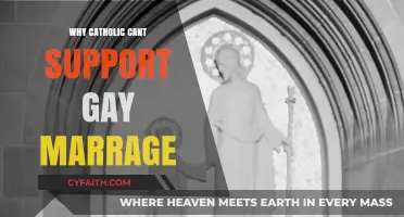 Catholic Faith, Marriage, and Morality: Why Same-Sex Unions Conflict