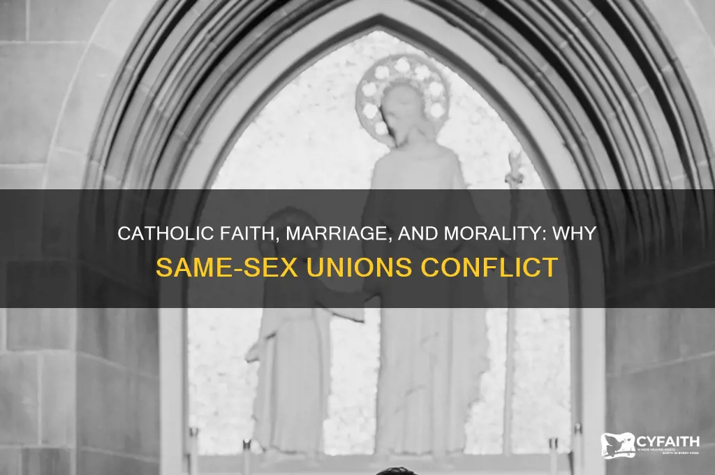 why catholic cant support gay marrage