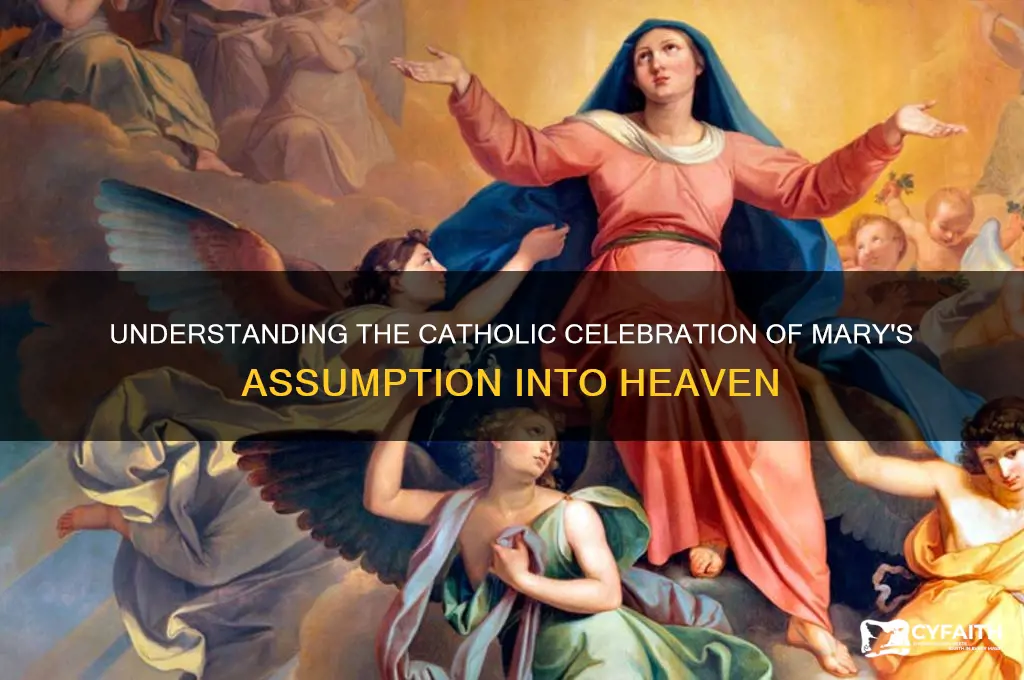 why catholic celebrate assumption of mary