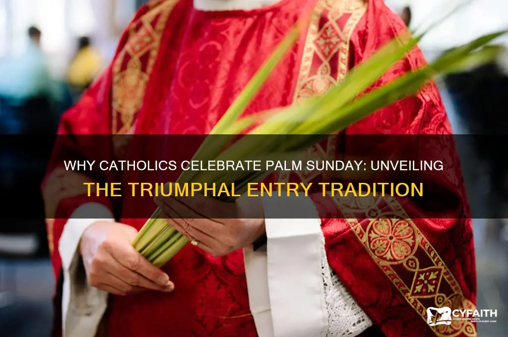 why catholic celebrate palm sunday