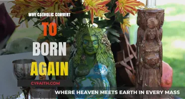 From Catholic to Born Again: Exploring Reasons for Faith Transition