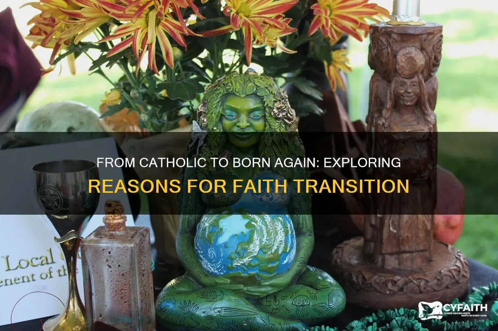 why catholic convert to born again