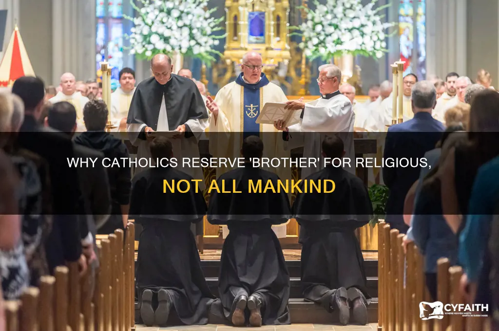 why catholic does not call brothers all mankind