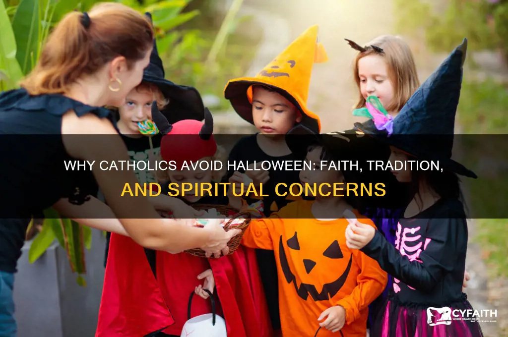 why catholic don