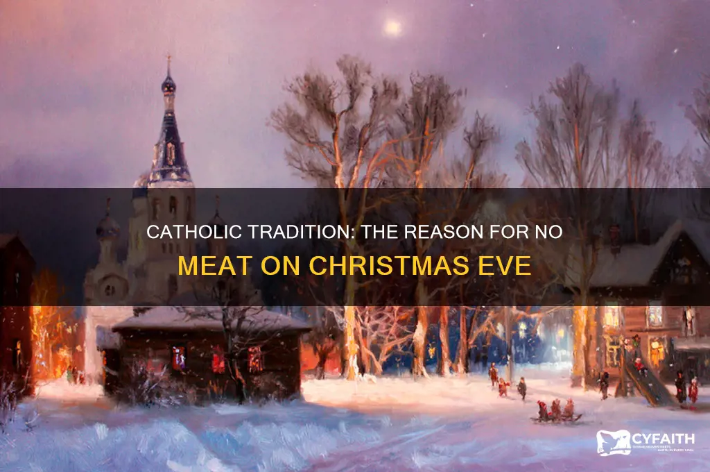 why catholic don