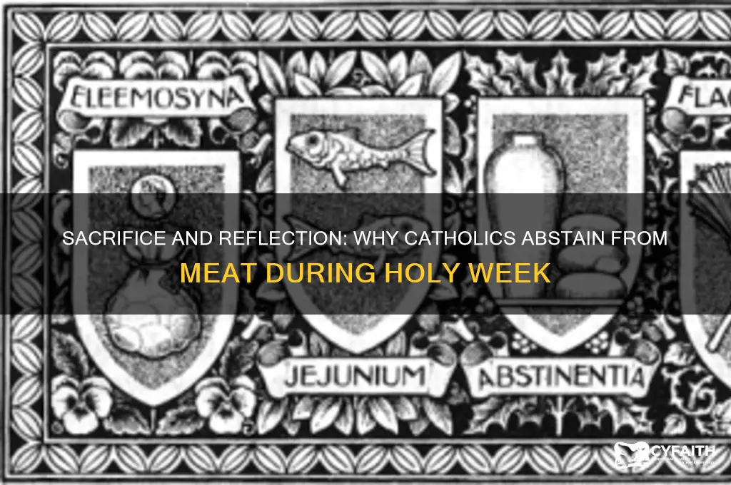 why catholic don